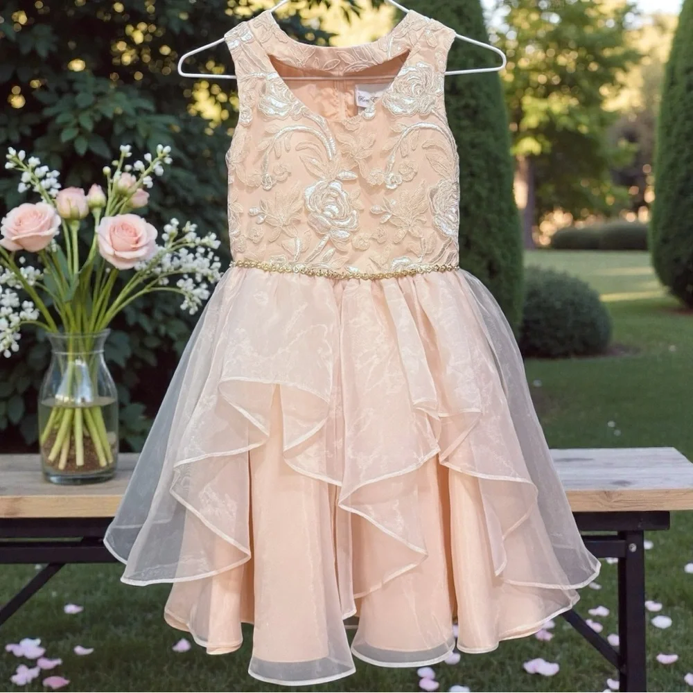 Rare Editions Girls Blush Floral Embroidered Formal Dress Size 10 - Picture 1 of 8